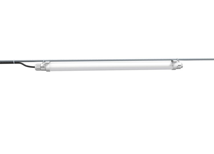 artificial lighting for chickens