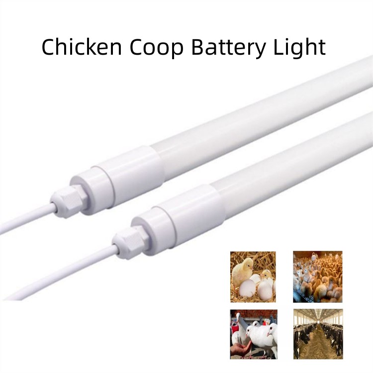 chicken coop battery light