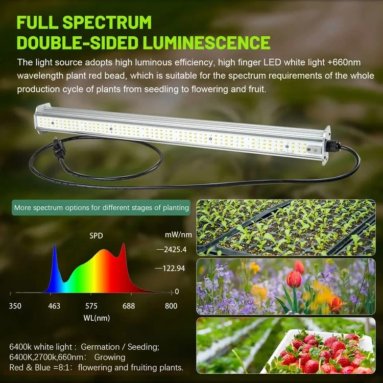 Full Spectrum Integrated Tomato Growing lights 5 Full Spectrum Integrated Tomato Growing lights 5