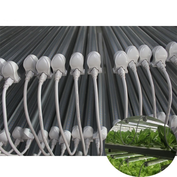 full spectrum led grow lights full spectrum led grow lights