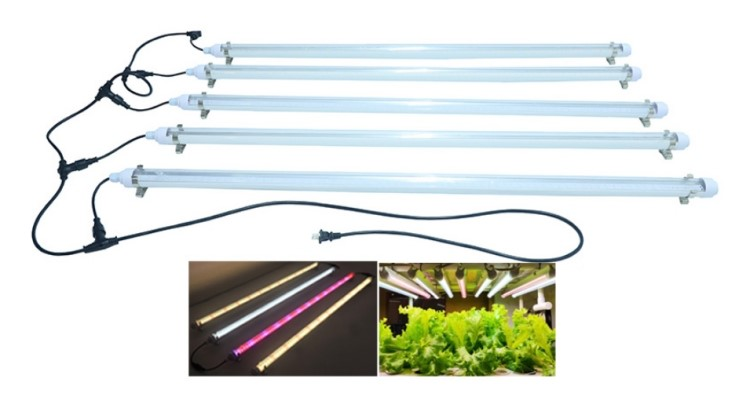 grows lights spectrum grows lights spectrum