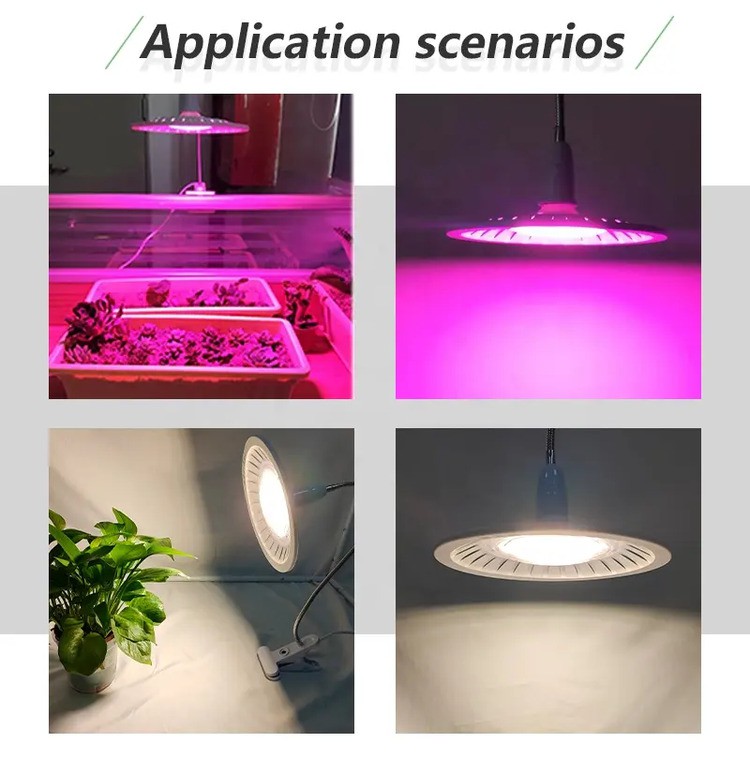 50W E27 UFO led grow light application 50W E27 UFO led grow light application