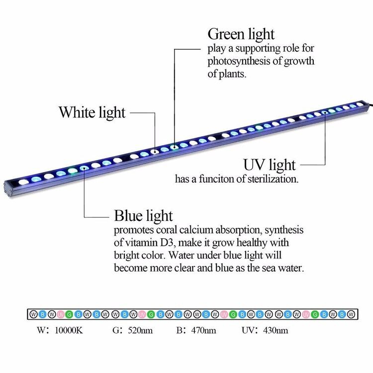 Fish Tank Coral lamp 4 Fish Tank Coral lamp 4