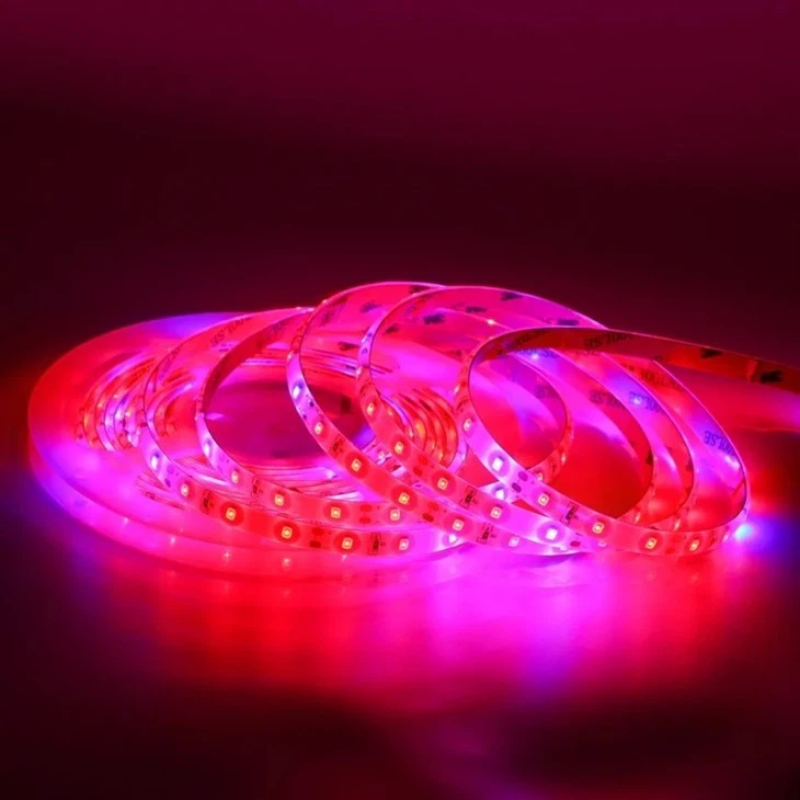 rgb outdoor light strip