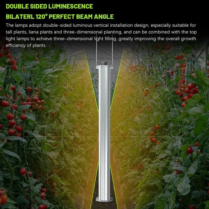 Full Spectrum Integrated Tomato Growing lights 3