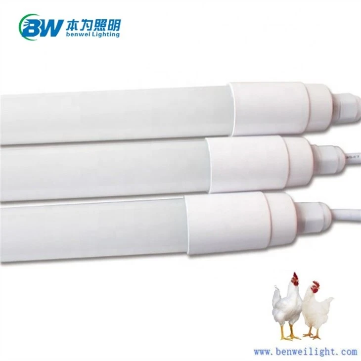 23w Chicken Light Dimmable