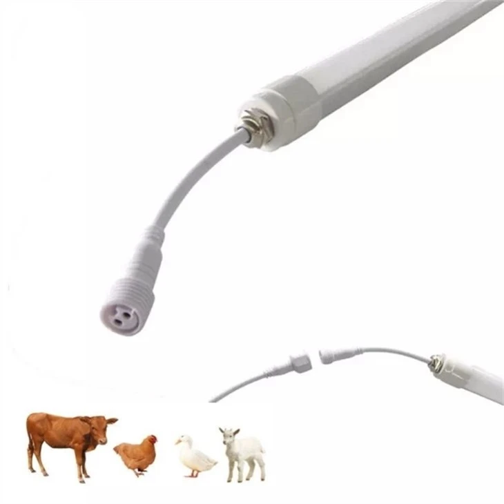Cow led lamp (2)