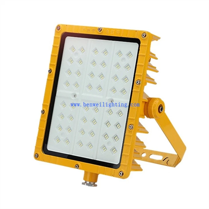 Explosion Proof Cold Storage Light (4)