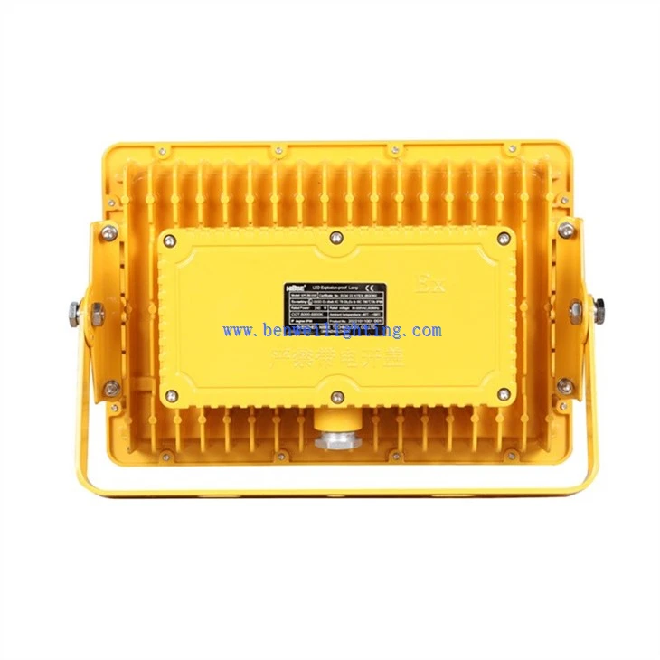 Explosion-proof Light For High Protection Requirements (3)