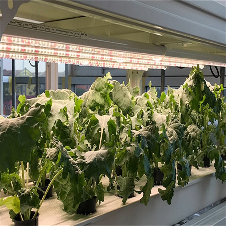 grow led tube installation 6