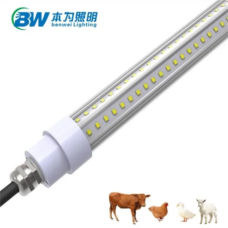 LED Lamp For Chicken Coop