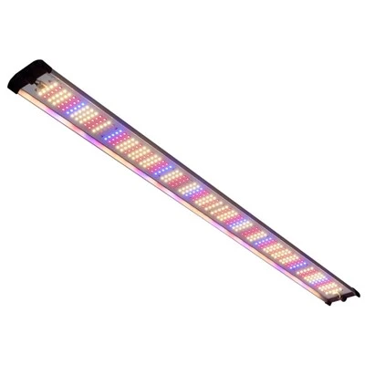 چراغ های رشد LED قرمز و آبی