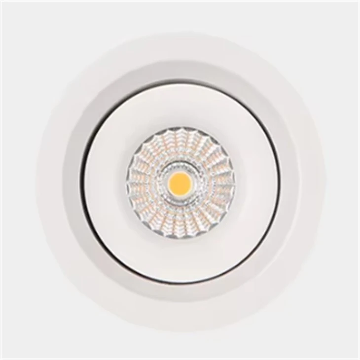 White LED Ceiling Light best